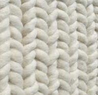 texture.png